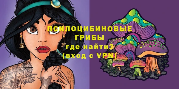 МДМА Няндома